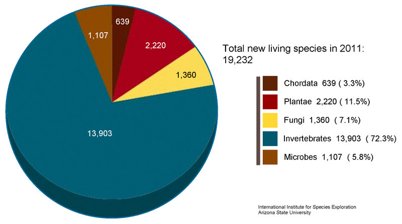 Illustration for article titled Meet the 20,000 new species we discovered in a single year